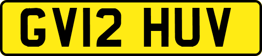 GV12HUV