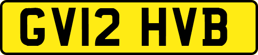 GV12HVB