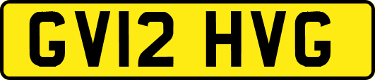 GV12HVG