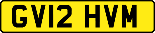 GV12HVM