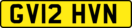 GV12HVN