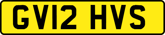 GV12HVS