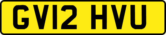 GV12HVU