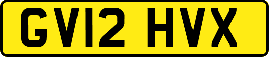GV12HVX