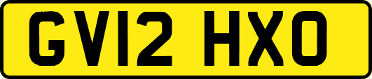 GV12HXO