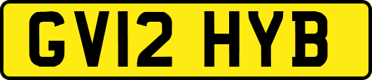 GV12HYB
