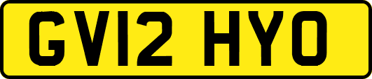 GV12HYO