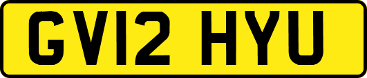 GV12HYU