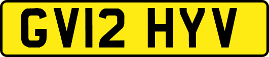 GV12HYV