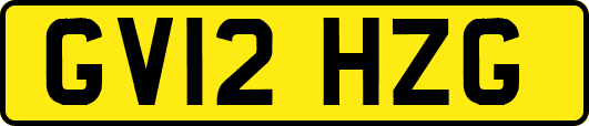 GV12HZG