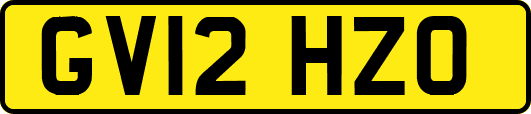 GV12HZO