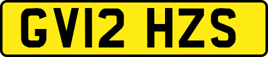GV12HZS