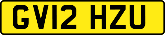 GV12HZU