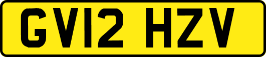 GV12HZV