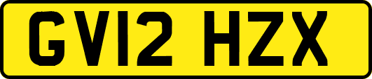GV12HZX
