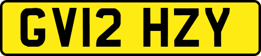GV12HZY