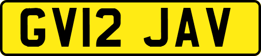 GV12JAV
