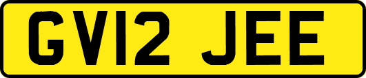 GV12JEE