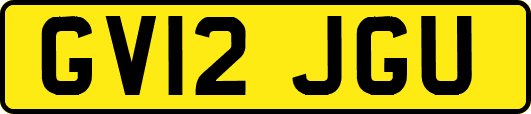 GV12JGU