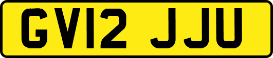 GV12JJU