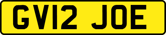 GV12JOE