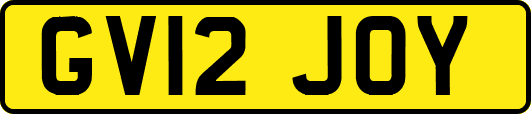 GV12JOY