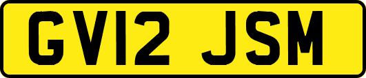 GV12JSM