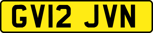 GV12JVN