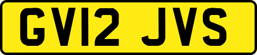 GV12JVS