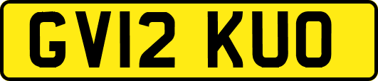 GV12KUO