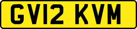 GV12KVM