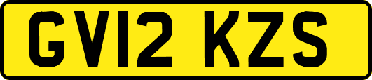 GV12KZS