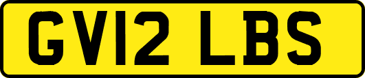 GV12LBS