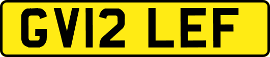 GV12LEF