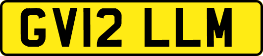 GV12LLM