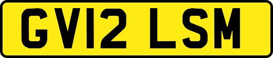 GV12LSM