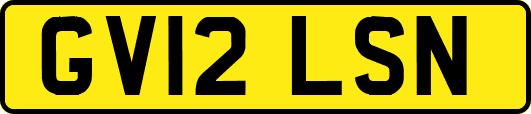 GV12LSN