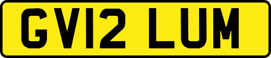 GV12LUM