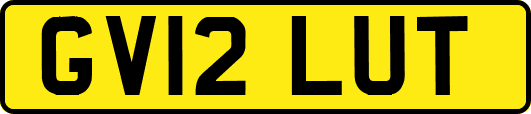 GV12LUT
