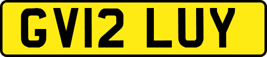 GV12LUY