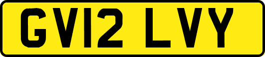 GV12LVY
