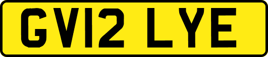 GV12LYE