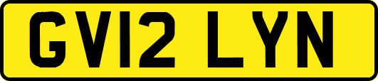 GV12LYN