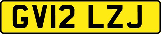 GV12LZJ