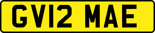 GV12MAE