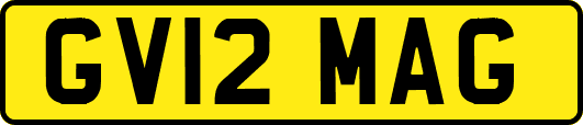GV12MAG