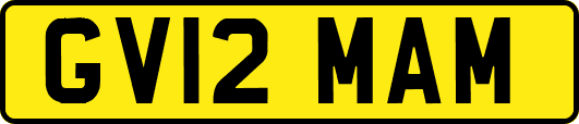 GV12MAM