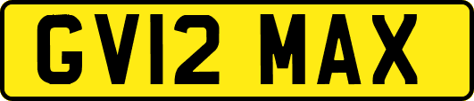 GV12MAX