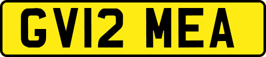 GV12MEA