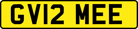 GV12MEE